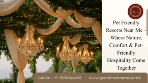 Pet Friendly Resorts Near Me – Where Nature, Comfort & Pet-Friendly Hospitality Come Together